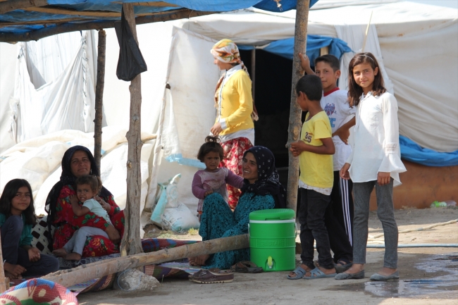 Mevsimlik işçilerin Konya'da zorlu mesaisi başladı